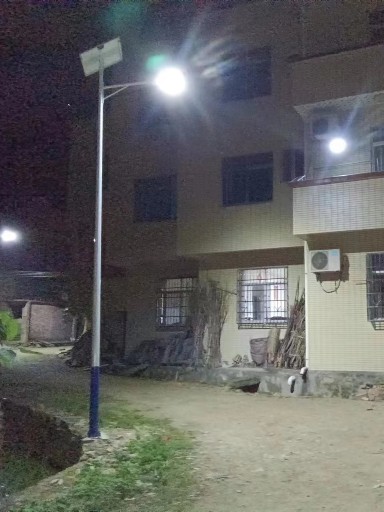 讓土地自由呼吸：無化學干預的蟲害管理方案